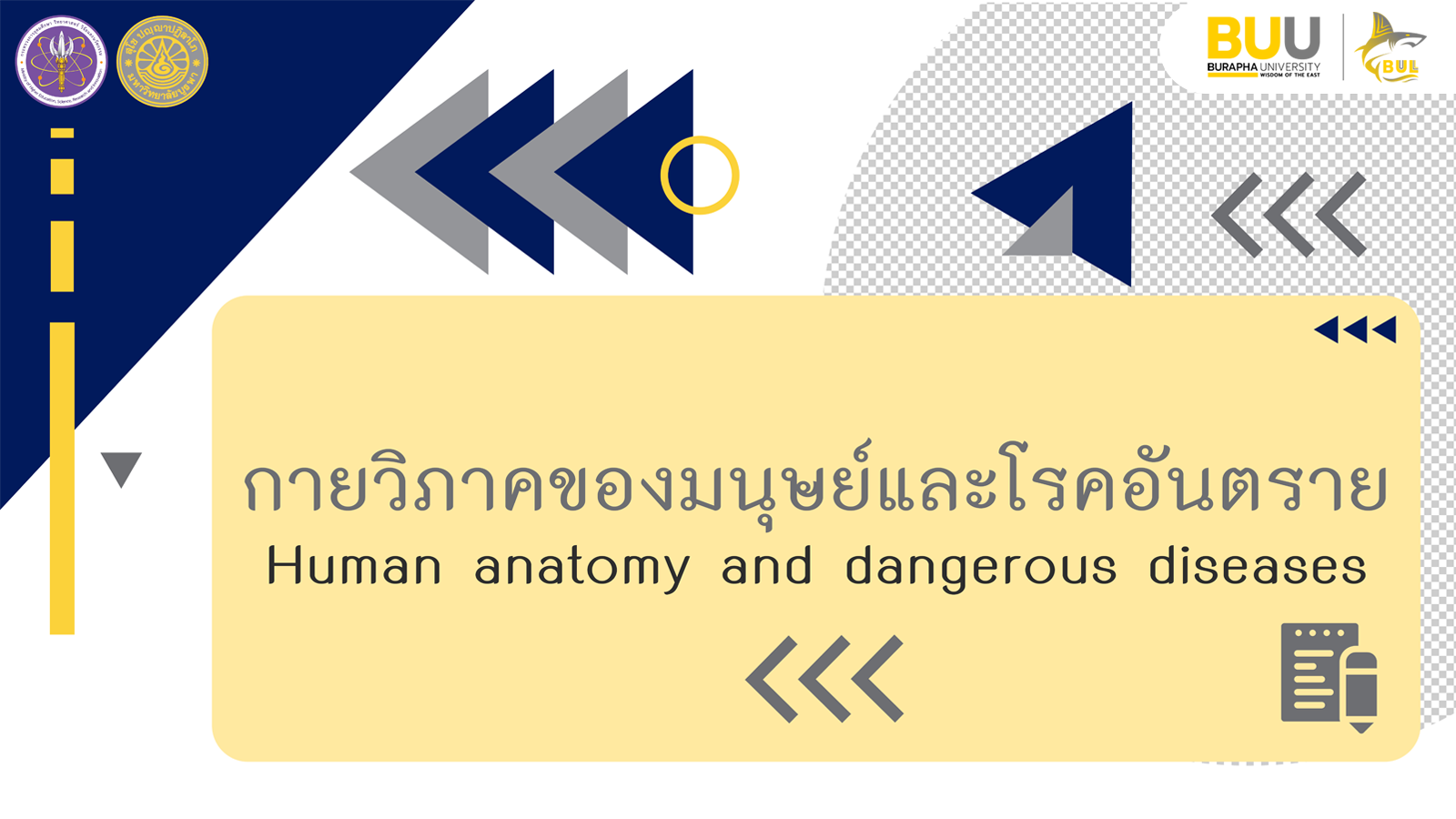 กายวิภาคของมนุษย์และโรคอันตราย (Human anatomy and dangerous diseases) Alliedhs002
